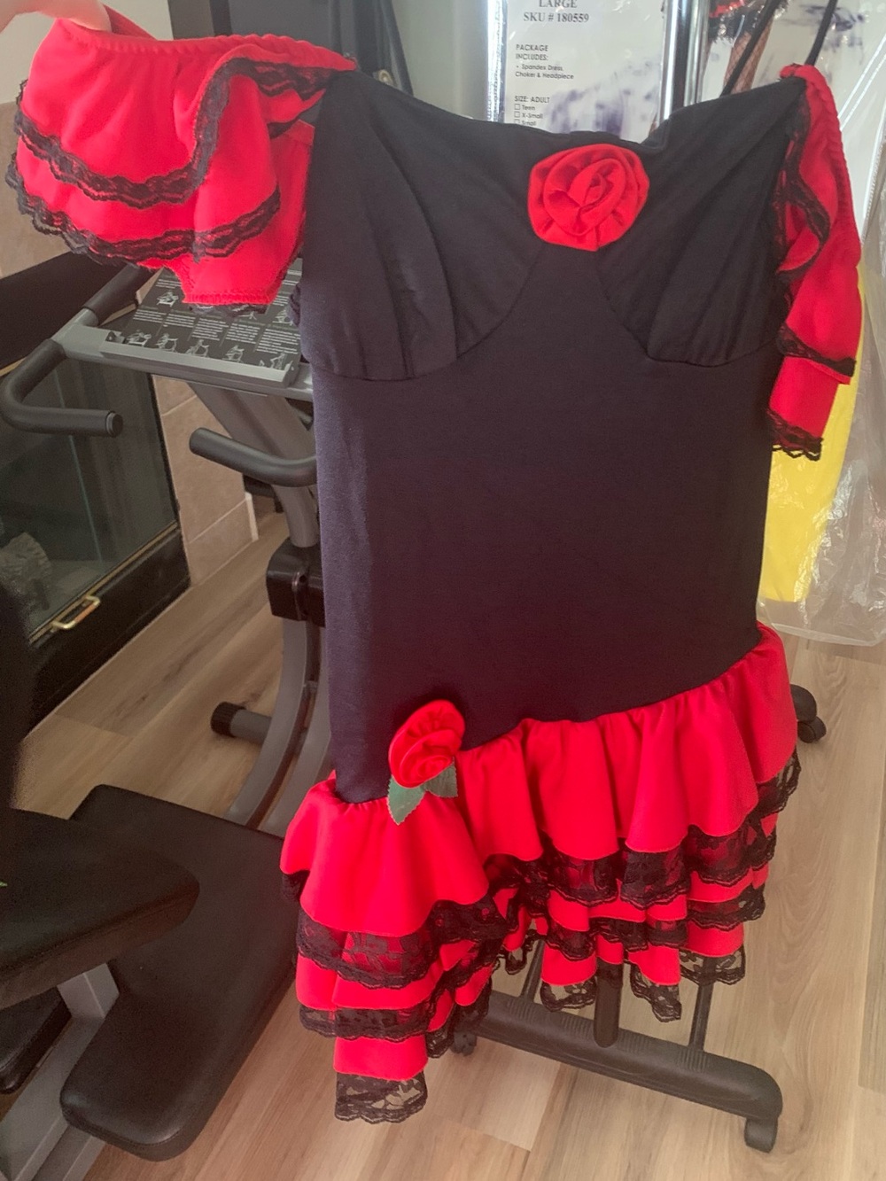Black and Red Ruffled Mini Dress with Rose Accents